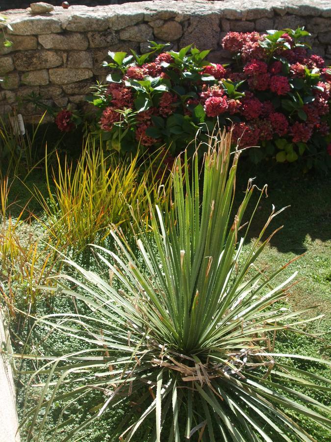 La Sirène Endormie Bed and Breakfast Penmarcʼh Exterior foto